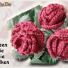 Rose, die Blume mit Sti(e)l (H233)