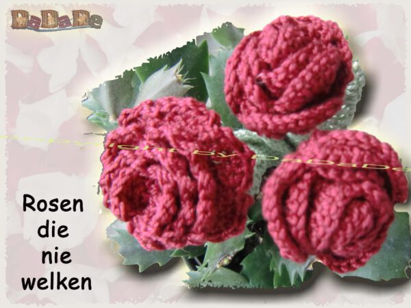 Rose0 Kopie Rose, die Blume mit Sti(e)l (H233)