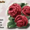Rose, die Blume mit Sti(e)l (H233)