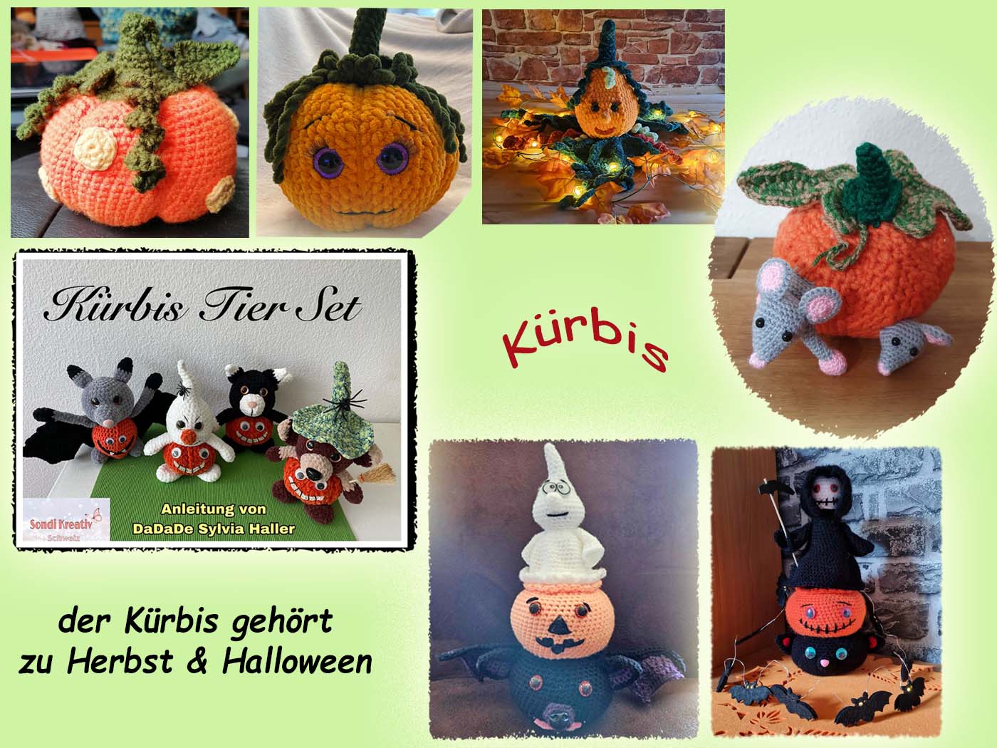 der Kürbis gehört zu Herbst & Halloween